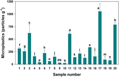 Pollution and health risk assessment of co-existing microplastics and heavy metals in urban dust of Riyadh city, Saudi Arabia